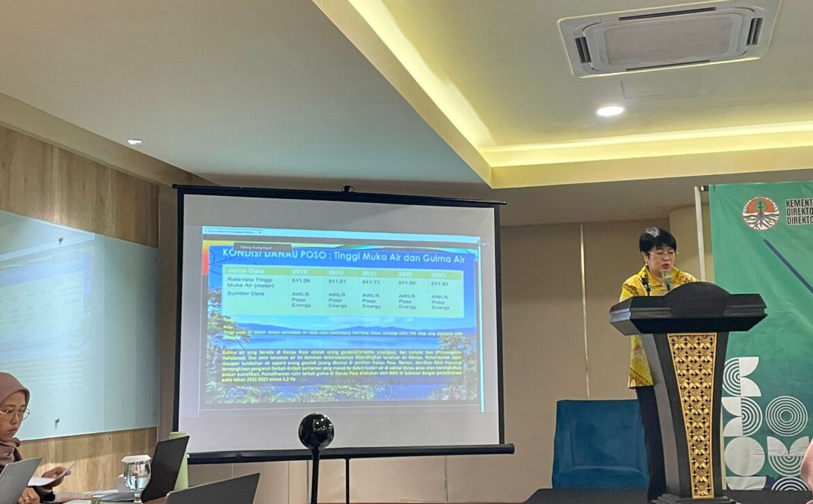 WhatsApp Image 2024-10-09 at 11.10.27